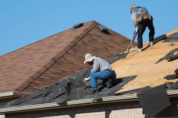 Best Tile Roofing Installation  in Van Meter, IA