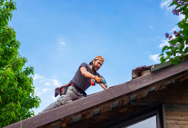 Best Roof Moss and Algae Removal  in Van Meter, IA