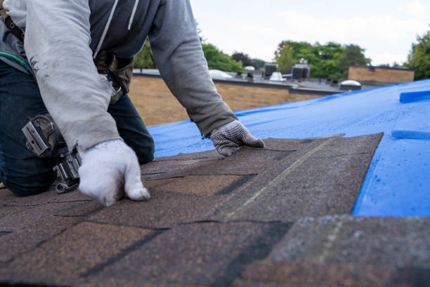Best Rubber Roofing (EPDM, TPO)  in Van Meter, IA