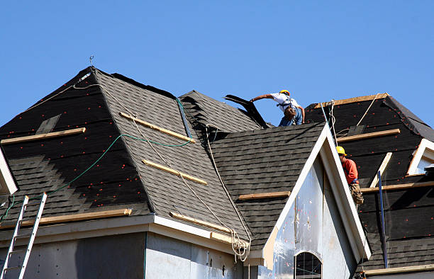 Best Metal Roofing Installation  in Van Meter, IA