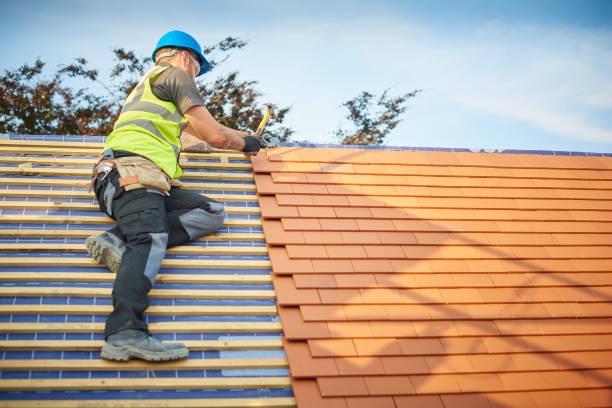Best Roof Maintenance and Cleaning  in Van Meter, IA